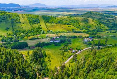 Teren Tarlungeni / Padure / Rau / Liniste / view / 7400mp - 17