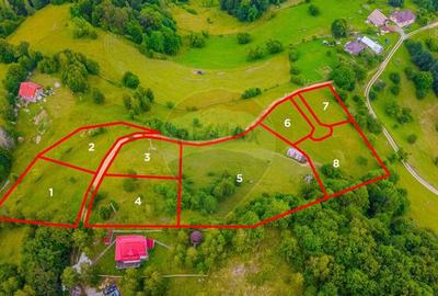 Teren de 10594 mp, în Peștera