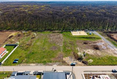 Spațiu comercial, în Dumbrăvița - 14