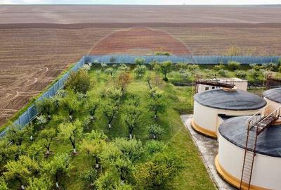 Crama din Buciumeni Afacere la cheie - 6