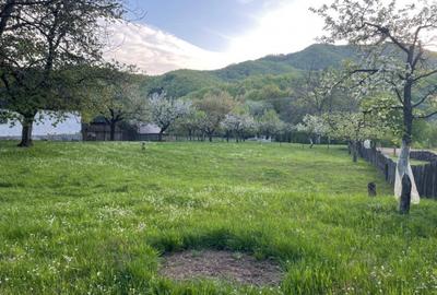 Teren de 1590 mp, în Firiza