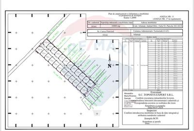 Teren Construcții intravilan de 10000 mp, în Afumați - 12