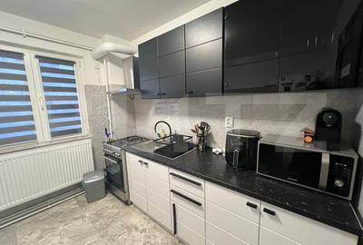 Apartament cu 2 camere semidecomandat, mobilat în Brazda lui Novac - 7