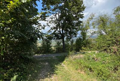 Spațiu comercial, în Vârfurile - 4