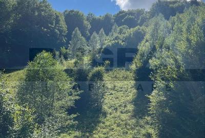 Casă cu 4 camere în Luna - 4