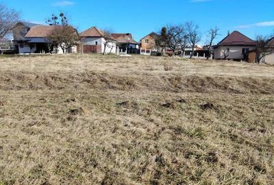 Spațiu comercial, în Feleacu - 3