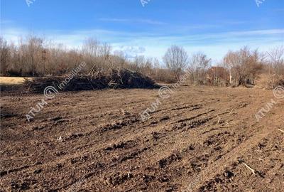 Teren intravilan de vanzare 1900 mp in Avrig zona Valea Avrigului - 9