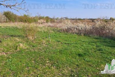 Teren 1171mp la intrare in Palanca langa Raul Sabar - 4