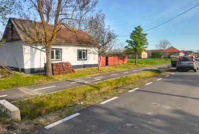 Casă individuală cu 3 camere cu Teren 1500 Mp în Tormac - 3