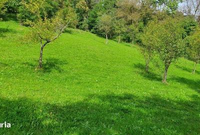 Teren de 2200 mp, în Sălciua - 4