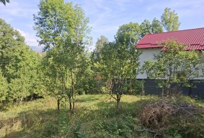 Teren de 900 mp, în Mogoșoaia - 7