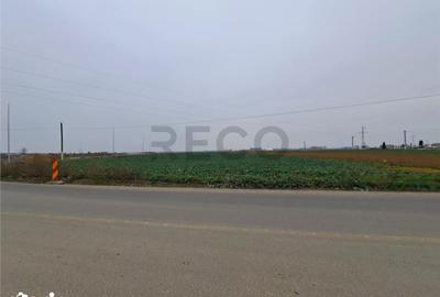 Teren de 6657 mp, în Tăut - 2
