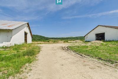 Hale 1800 mp fiecare – acces autostradă, Teiu, HD - 17