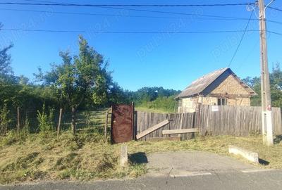 Teren de 2800 mp, în Jdioara - 5