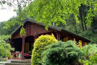 Pensiune montana cu 3200 mp teren in Bicaz, judet Neamt Pensiune montana cu 3200 mp teren in Bicaz, judet Neamt - 1