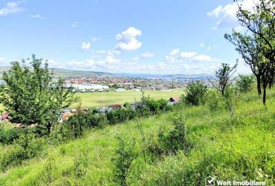 Teren intravilan constructie casa, Dezmir - 2