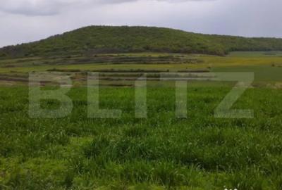 Teren de 3621 mp, în Petrești - 5