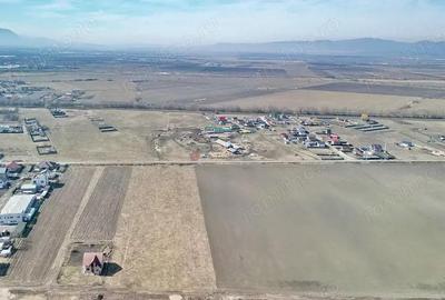 Teren Extravilan, P.U.Z. inceput - 10