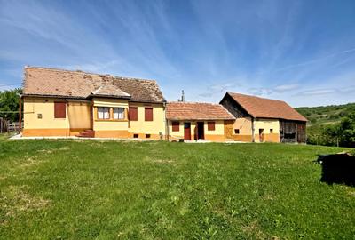Casă cu 3 camere cu Teren 417 Mp în Central - 8