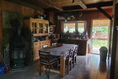 FILM! Resedinte montane,mobilate,echipate, jacuzzi,piscina,pretios areal,Sambata - 33