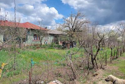 Casă cu Teren 1500 Mp în Hodivoaia - 2