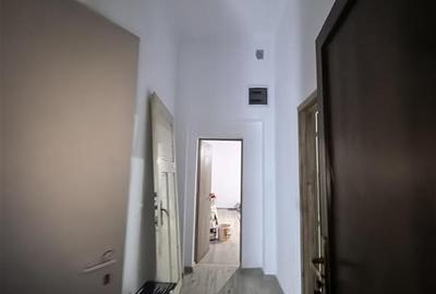 Apartament cu 2 camere semidecomandat în Iosefin - 3