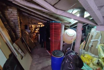 Inchiriere vila zona Stefan cel mare - Tunari - 15