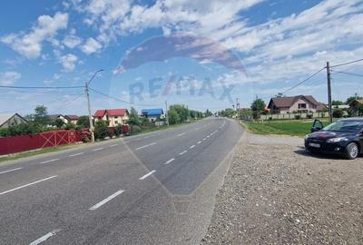 Teren Construcții intravilan de 28662 mp, în Onișcani - 2