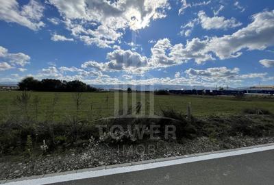 Teren industrial de vânzare în Cristian – 6.000 mp, deschidere la drum asfaltat - 3