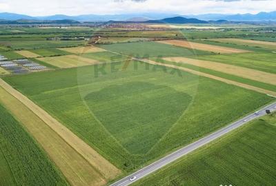 Teren de 59600 mp, în Feldioara - 2