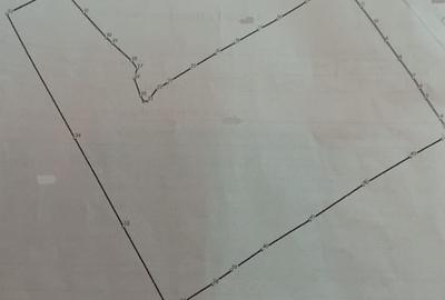 Teren in Bucovina zona Dorna Arini - 1