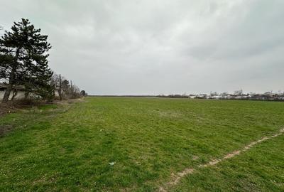 Teren Construcții intravilan de 37 mp, în Mogoșești - 7