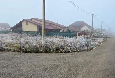 Teren de 591 mp, în Frumușeni - 2