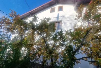 Casă cu Teren 1600 Mp în Cocorăștii Colț - 2