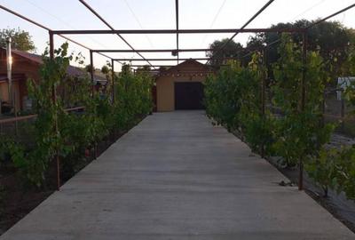 HORIA - 3 CAMERE ,SUPRAFATA 100 MP,TEREN 3000 MP CU DESCHIDE - 16