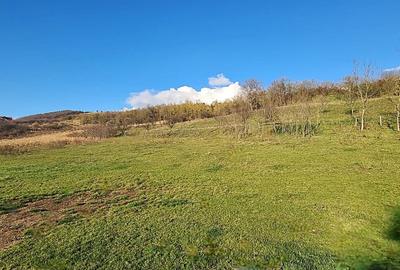 Teren intravilan\constructii \Sura Mare \ Sibiu - 5