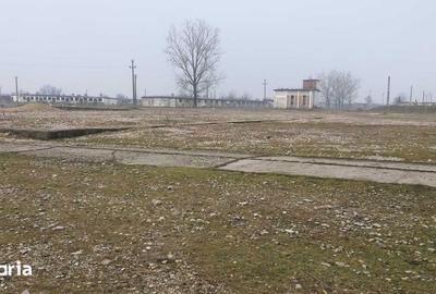 Teren de 15000 mp, în Tinca - 5