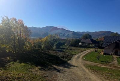 Casă individuală cu 5 camere cu Teren 2700 Mp în Alexandru cel Bun - 30