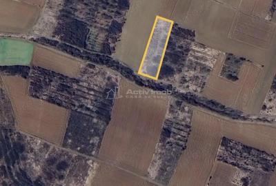 Teren de 3000 mp, în Biharia - 1