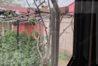 Casa,6 camere ,curte comuna in zona buna - 7