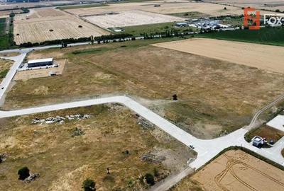 Teren de 7150 mp, în Șagului - 4