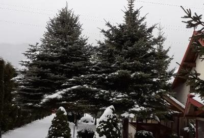 Casă cu 5 camere în Central - 11