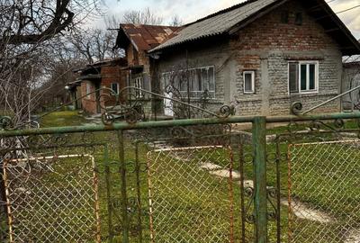 Casă cu 4 camere în Crivina - 2