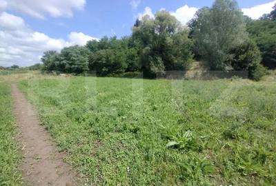 Teren de 850 mp, în Șintereag - 4