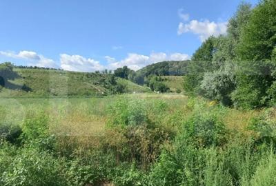 Teren de 3133 mp, în Mănăștur