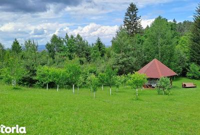 Teren de 2000 mp, în Ștefan cel Mare