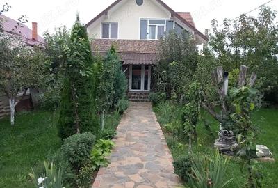 Casă cu Teren 1000 Mp în Dochia - 13