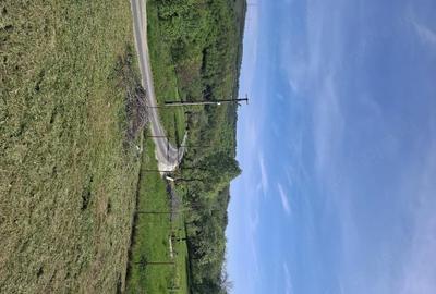 Casă cu 3 camere cu Teren 1000 Mp în Central - 10