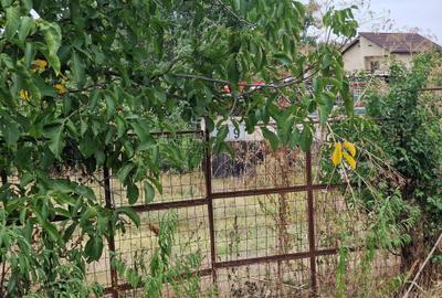 Vand teren 2477 mp intre case, Frumusani, vizavi de brutarie, str. Stufului - 1
