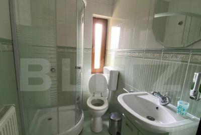 Casa cu potential turistic, 380 mp, FUNDATA - 14